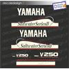 Adesivi calandra motore marino fuoribordo Yamaha 250 cv saltwater series barca