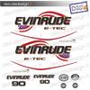 Adesivi motore marino fuoribordo Evinrude 90 cv e-tec saltwater america barca