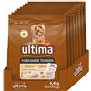 Ultima Taglia Piccola Yorkshire Terrier Pollo - Crocchette per cani - Confezione da 8 x 800g - Totale 6,4kg