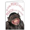 AFIE Biglietto ringraziamento per il tuo sorriso grazie messaggio umoristico con busta illustrata formato 17,5 x 12 cm Scimmia Chimpanzé Bonobo divertente che sorride Creazione Fabbricazione francese