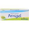 Boiron Arnigel Gel 7% Rimedio Omeopatico Tubo 120 g