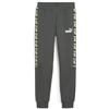PUMA Ess Tape Camo-Pantaloni Sportivi TR B, Maglia Unisex-Adulto, Grigio Minerale, 140