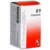 Dr.Reckeweg & Co. gmbh Reckeweg R9 100cpr 0,1g