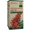 260I Neoimmunal Aloe Arborescens1kg
