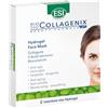 ESI, Biocollagenix Hydrogel Face Mask, Maschera Viso al Collagene, Acido Ialuronico e Resveratrolo, Effetto Antirughe, Idratante e Levigante, Dona una Pelle Elastica e Idratata, 2 Maschere