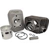 Generico KIT CILINDRO GRUPPO TERMICO 46 POLINI GHISA 75 SPINOTTO 12 PIAGGIO CIAO SI MIX