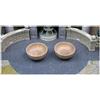 Ludus Magnus Studio Wooden Bowl (1 pezzo): Black Rose Wars