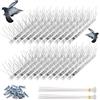 Newpop 20 Pezzi 33cm Anti Piccioni, Scaccia Piccioni, Dissuasori per Gatti, Allontana Piccioni, Dissuasore Uccelli, Picchi per Piccioni, Repellente Uccelli, Spuntoni Uccelli in Acciaio Inox