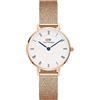 Daniel Wellington Orologio Solo Tempo Donna Daniel Wellington Petite - Dw00100681 DW00100681