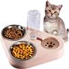 doepeBAE Ciotola Doppia in Acciaio Inox per Cani e Gatti - Distributore Automatico 2 in 1 da 500 ml di Cibo e Acqua, Ideale per Gatti e Cani Domestici (Rosa)