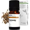 Aroma Labs - Carvi BIO - Olio Essenziale Chemiotipizato e Certificato AB - 5 mL