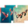 RNKVERLAG 46825 - Set di quaderni Poligono per motivo 2x farfalla, 2x colibrì, a scacchi, in DIN A5, 4 pezzi