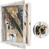GraduatePro Cornice 3D 28x35 Profonda con vetro per Oggetti in Legno da Parete Tavolo Bianco Regalo Decorativo