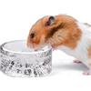 Niteangel - Ciotole per criceti e acqua, in vetro, per criceti nani, gerbilli, topi o altri animali di piccola taglia (bianco)