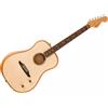 FENDER HIGHWAY SERIE DREADNOUGHT RW NATURAL