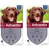advantix Spot-ON per Cani Oltre 25 kg Fino a 40 kg - Offerta 2 Confezioni