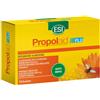 ESI Srl PROPOLAID FLU 10BUST