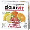 Falqui prodotti farmac. srl ZIGULI VIT COMPILATION 40CONF