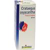 Boiron srl CRATAEGUS OXYACANTHA 60ML TM
