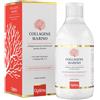 Optima naturals srl COLLAGENE MARINO LIQUIDO 500ML