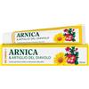 Naturwaren italia srl DR THEISS ARNICA & ARTIGLIO