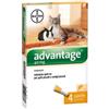 Advantage*spot-on soluz 4 pipette 0,4 ml 40 mg gatti e conigli piccoli