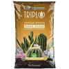 TerComposti TRIPLO Terriccio Specifico per Piante Grasse Cactacee e Succulente Elevata Ossigenazione Radicale (20L)