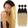 Hxxcoup 3 Bundles Human Hair Bundles Blonde Extensions Capelli Veri Tessitura Curly Wave Bundles 1B/4/613 Ombre Colour Bundles 100% Brazilian Virgin Remy Hair for Woman 26 28 30 Pollici