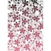 Sizzix Set di timbri trasparenti Petals by Stacey Park
