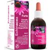 Echinacea Benefit Echinacea Forte Estratto Fluido Vie Respiratorie 50ml