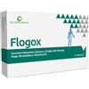 FLOGOX 30 CAPSULE AQUA VIVA Srl