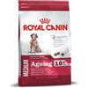 Royal Canin Dog Food Medium Aging +10 15kg