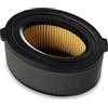 MAXPOWER Filtro e prefiltro dell'Aria Adatto per MTD - Numero di Riferimento 751-10794, 951-10794, 751-14262, 951-14262