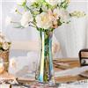 Aoderun Vaso per fiori in vetro decorativo, grande, altezza 26 cm, piccoli vasi per decorazione da tavolo, erba della pampa, iridescente, per una rosa giacinti