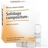 guna Solidago comp 10f 2,2ml heel