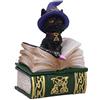 Nemesis Now Binx - Piccola Scatola con Statuetta di Gatto Nero e Libro degli incantesimi, 11 cm, Colore: Verde