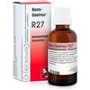 Dr.reckeweg Dr. Reckeweg R27 Gocce Omeopatiche 22 ml