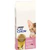 Cat Chow PURINA Cat Chow Kitten ricco in Pollo Crocchette per gatto - 15 kg