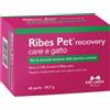 n.b.f. lanes Ribes Pet Recovery Cane E Gatto 60 Perle