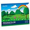 Favini Cartotecnica Favini Album Prismacolor 24 x 33 cm, 128 g / m2, Confezione da 10 Pezzi
