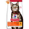 Hill's Cat Science Plan Adult Pollo - Sacco da 1,5 kg