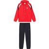 Diadora Tuta Uomo Cotone Primaverile Cappuccio Full Zip Art.181 (Poppy Red - L)