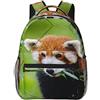 SJOAOAA Panda rosso sul ramo di albero stampa zaino borsa zaino grande capacità tracolla regolabile Daypack per viaggi all'aperto lavoro, Come nella foto, Taglia unica