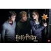 Heye Harry Potter Broschur XL 2024. Wandkalender mit fesselnden Filmszenen aus den Harry Potter-Filmen. Broschürenkalender 2024 mit Poster zum Heraustrennen.