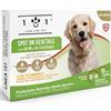 101 love for pet Antiparassitario Cani Contro Pulci, Zecche e Zanzare Naturale 12 Fiale 1 ml Antipulci per Cani Taglia Media e Grande con Olio di Neem Lunga Durata