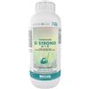 BOTTOS Master Green SI STRONG Kg 1 Bottos