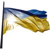 Eastronic Bandiera Ucraina Unisex Adulto, Giallo Blu, 150x90cm