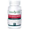 Erba vita Fucus 60 capsule 500 mg