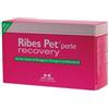 Ribes pet recovery blister 60 perle