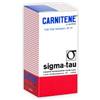 Carnitene soluzione orale 20 ml 1,5 g/5 ml